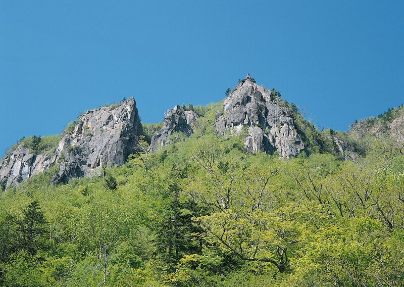 Rocky mountain peak with green trees