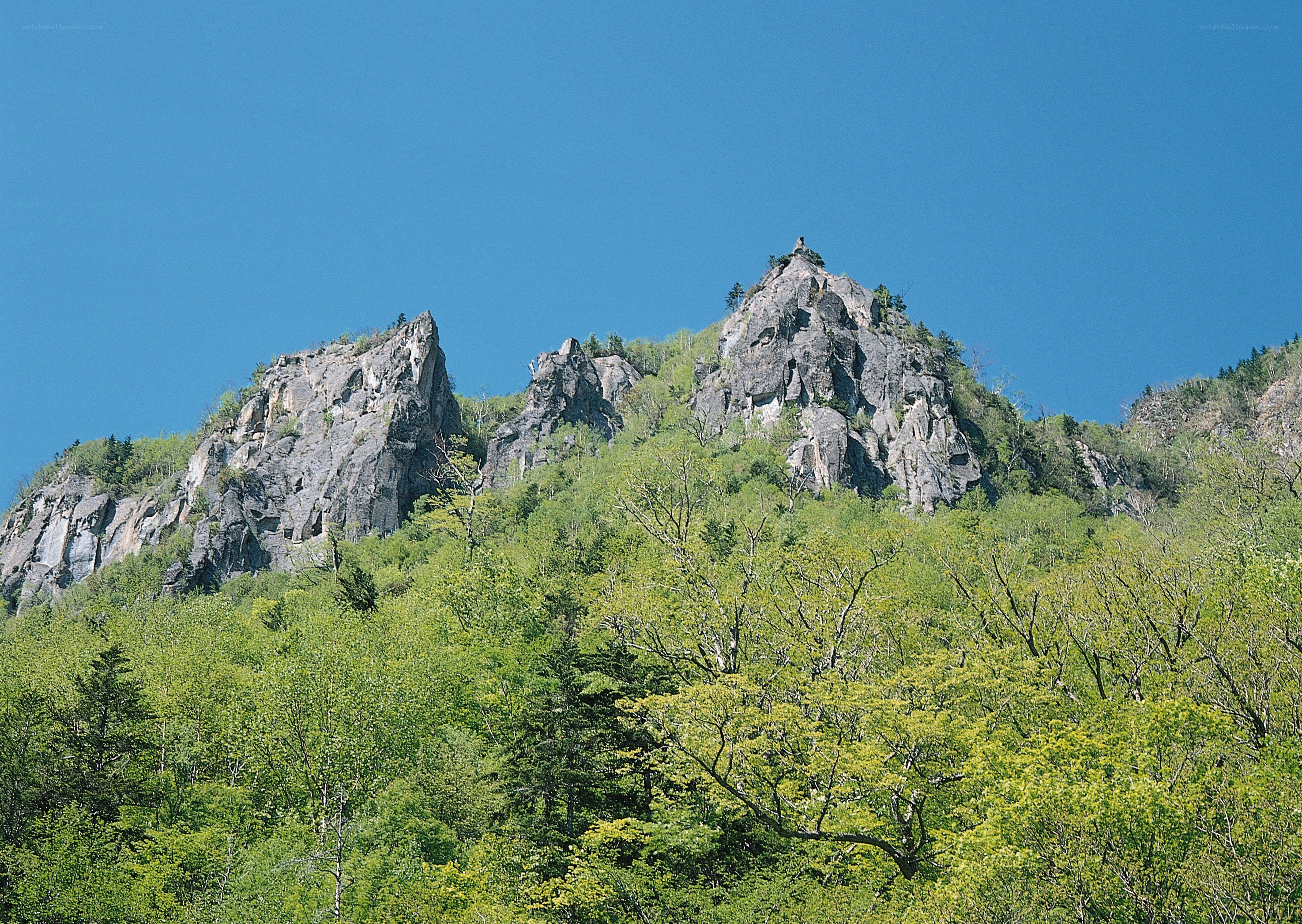 Rocky mountain peak with green trees