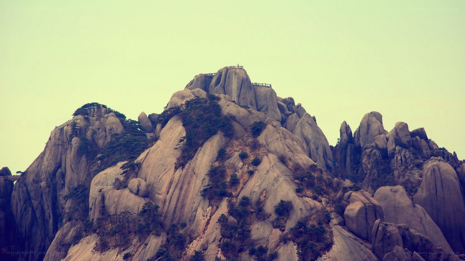 rocky mountain peak with trees