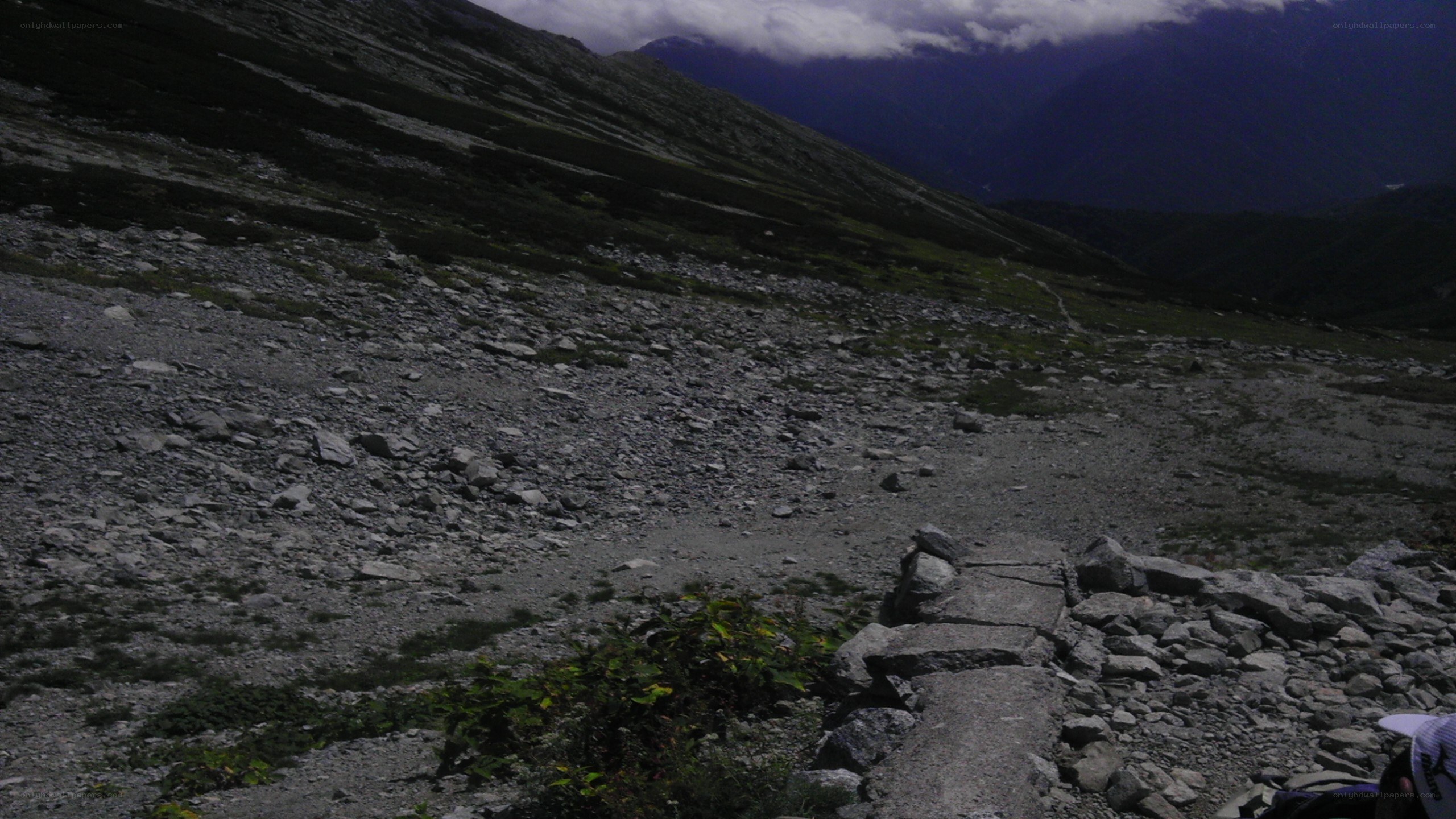 rocky mountain slope at dusk