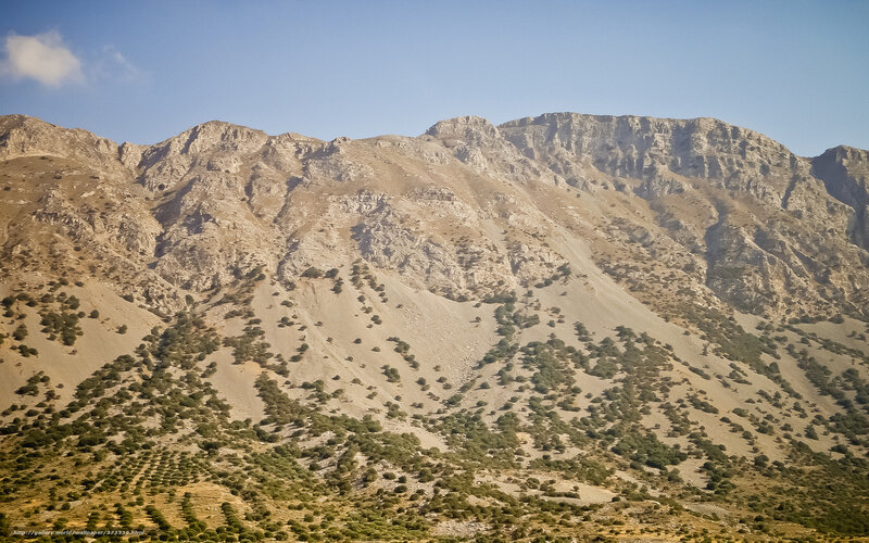 Rocky Mountain Slope — Brown
