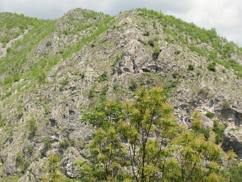 Rocky Mountain Slope — Green, Natural