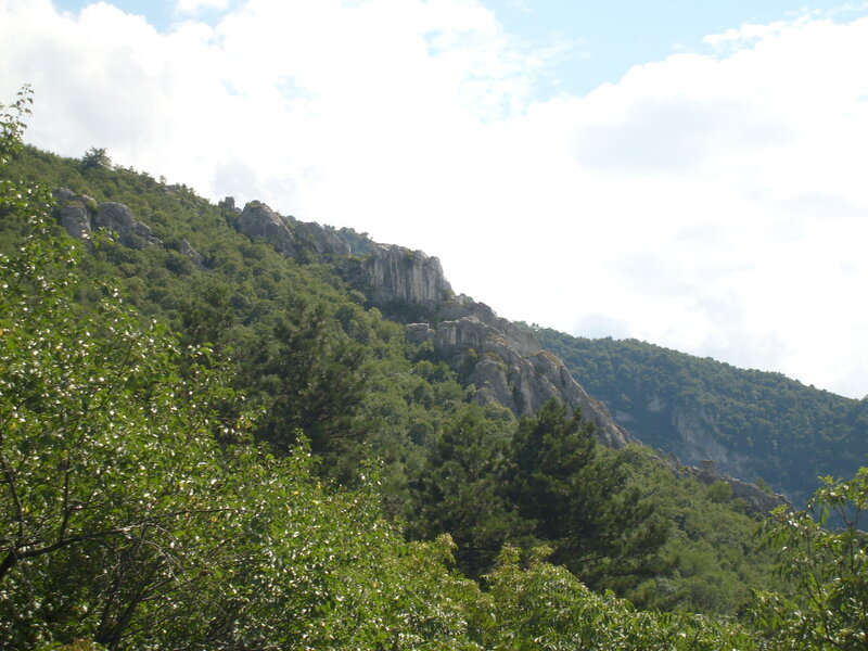 Rocky Mountain Slope — Green, Serene