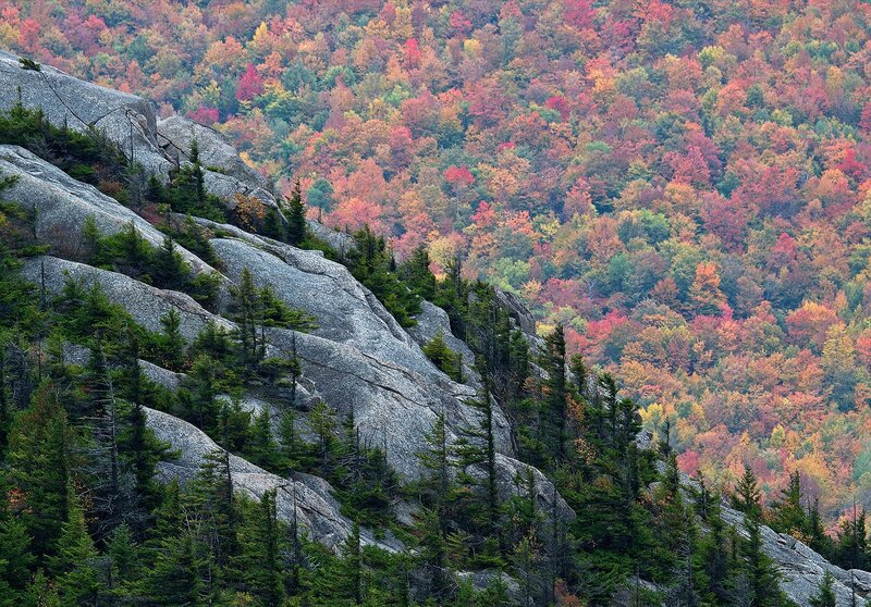 Rocky Mountain Slope — Red