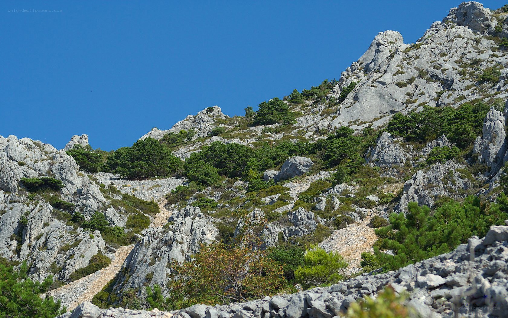 rocky mountain slope with greenery