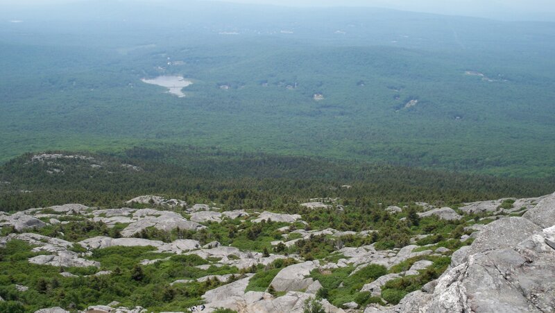 Rocky Mountain Summit — Green, Serene