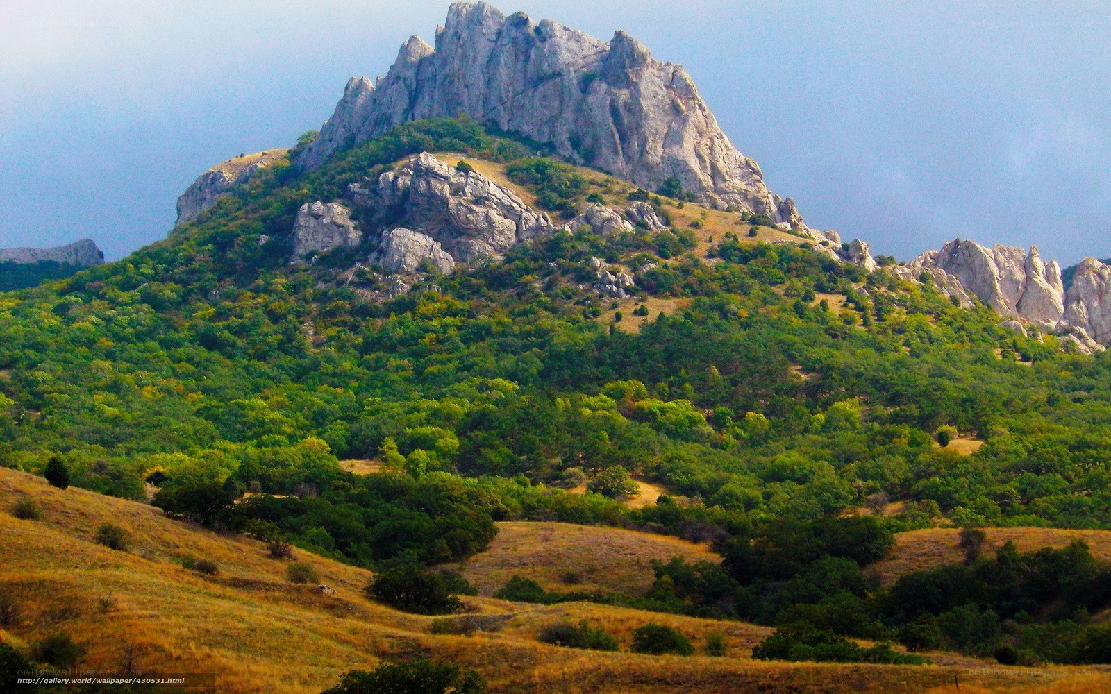 Rocky mountain with green forest