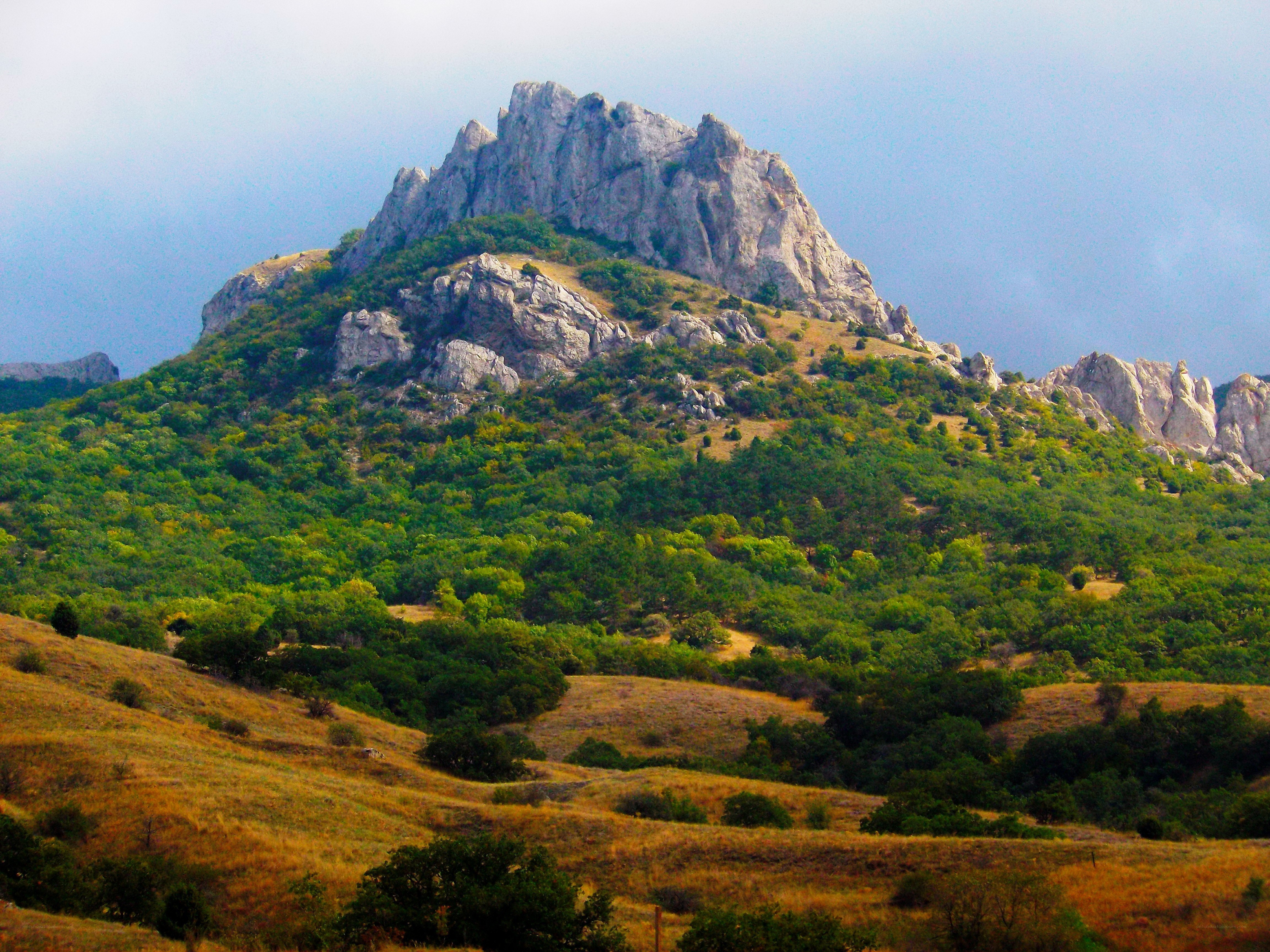 rocky mountain with green trees