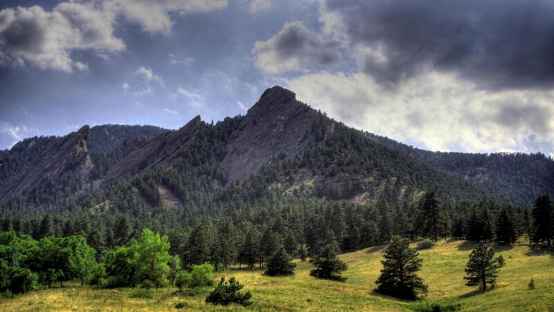 Rocky Mountain with Trees