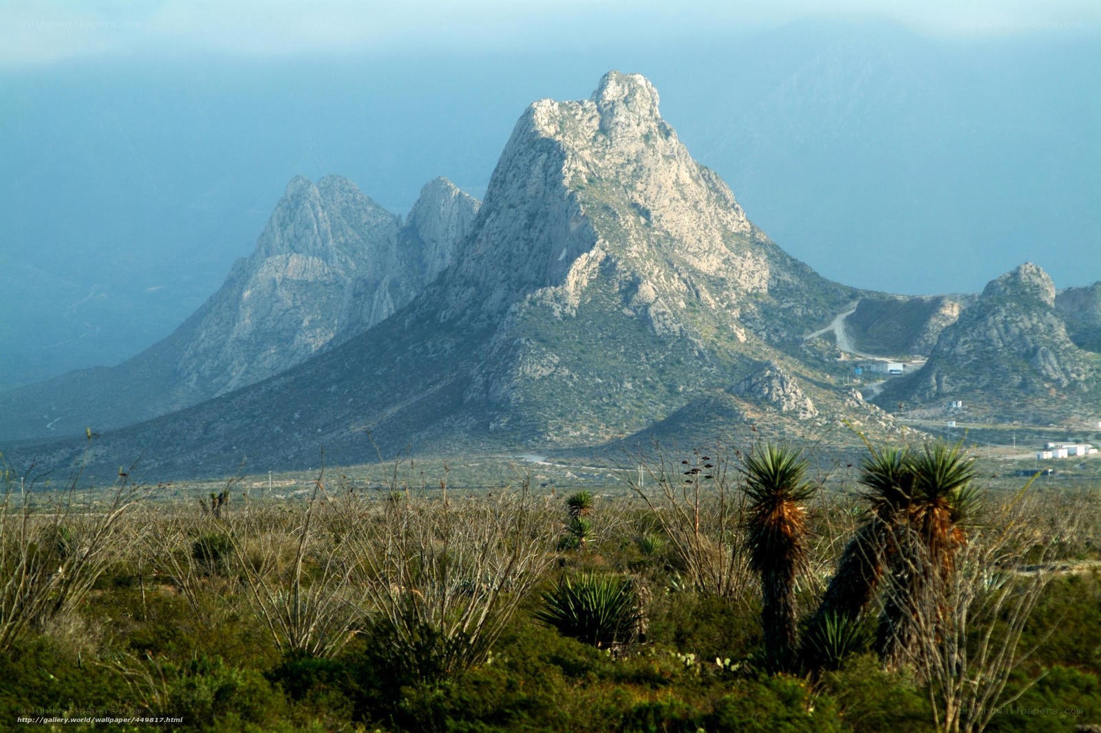 rocky mountains in desert landscape