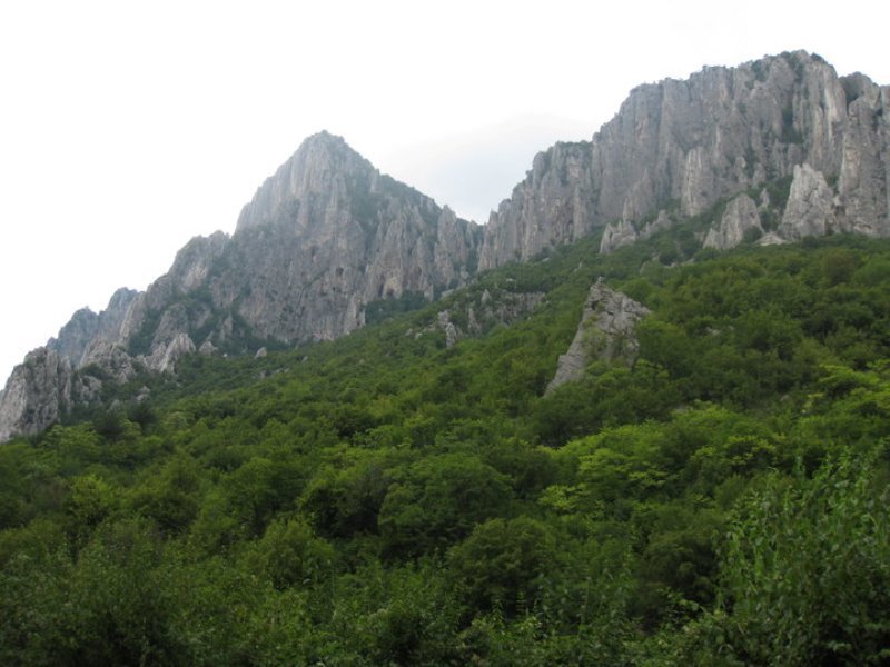 Rocky Mountains with Forest