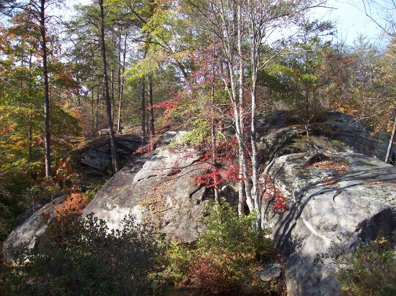 Rocky Outcrop in Forest