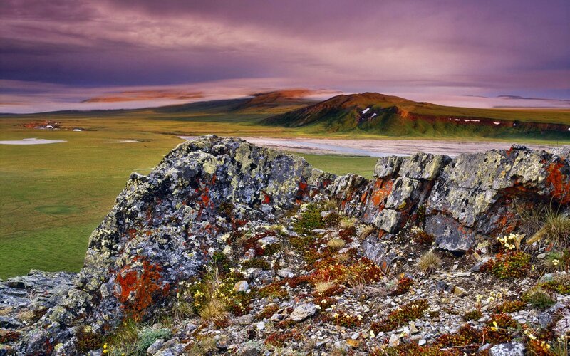 Rocky outcrop in tundra landscape