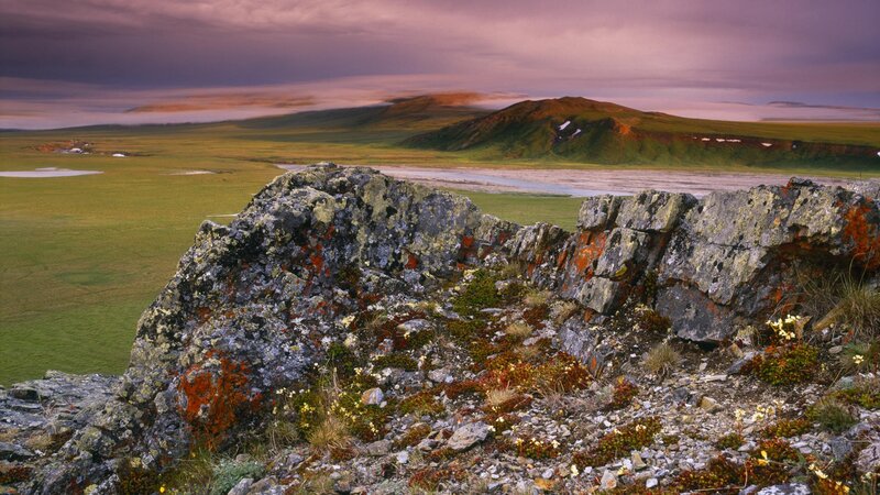 Rocky outcrop in tundra landscape