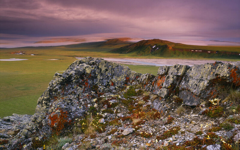 Rocky Outcrop in Tundra