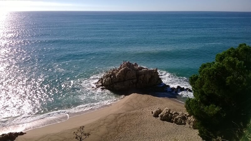 Rocky Outcrop on Beach — Blue