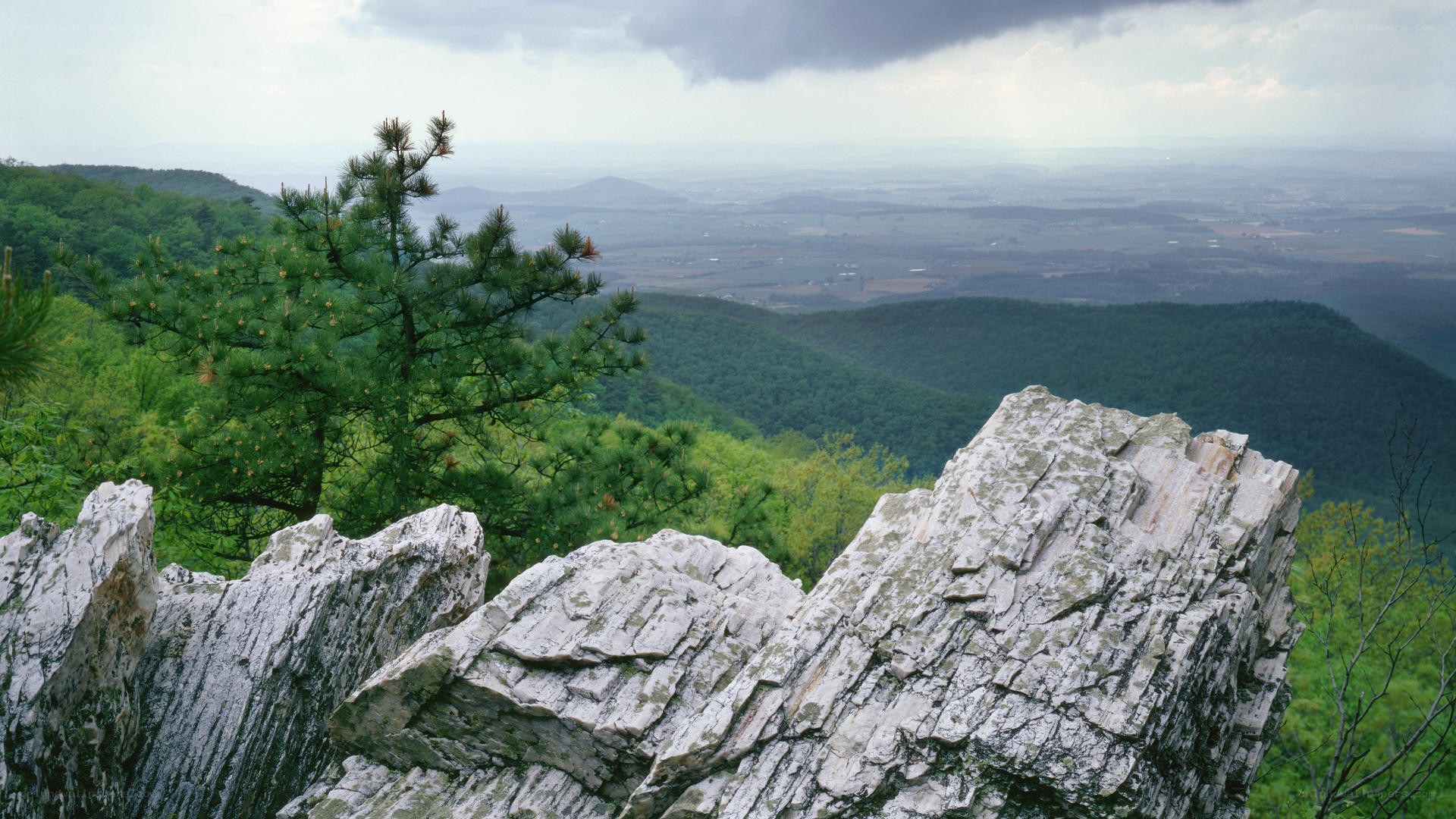 Rocky outcrop overlooking valley