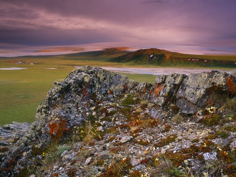 Rocky Outcrop with Flowers