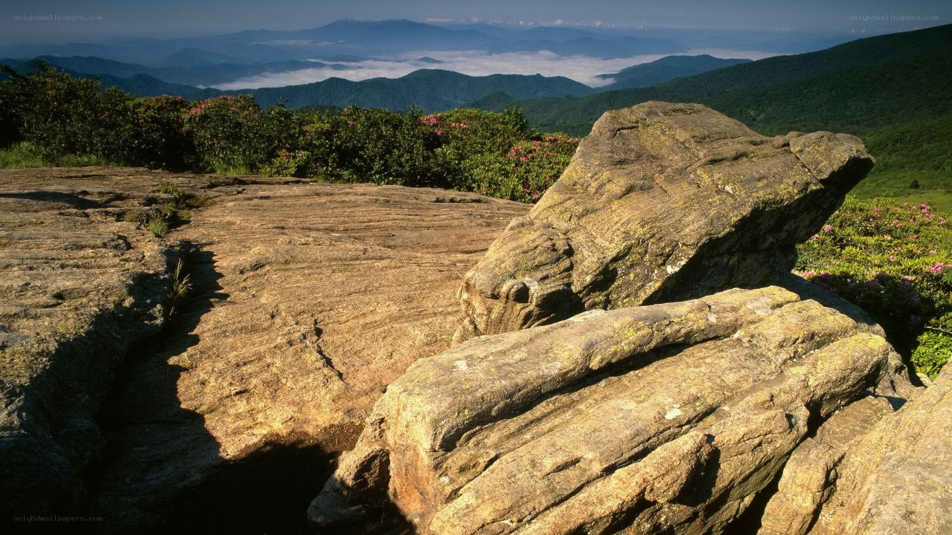 Rocky overlook with mountain view