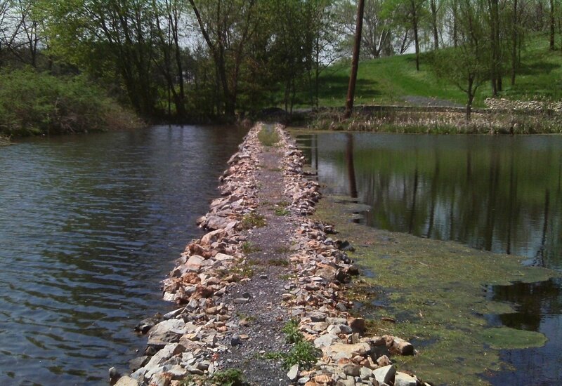 Rocky Path in Pond