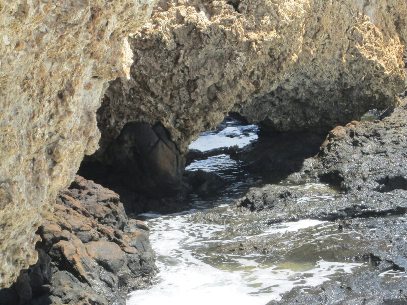 Rocky Sea Cave — Brown