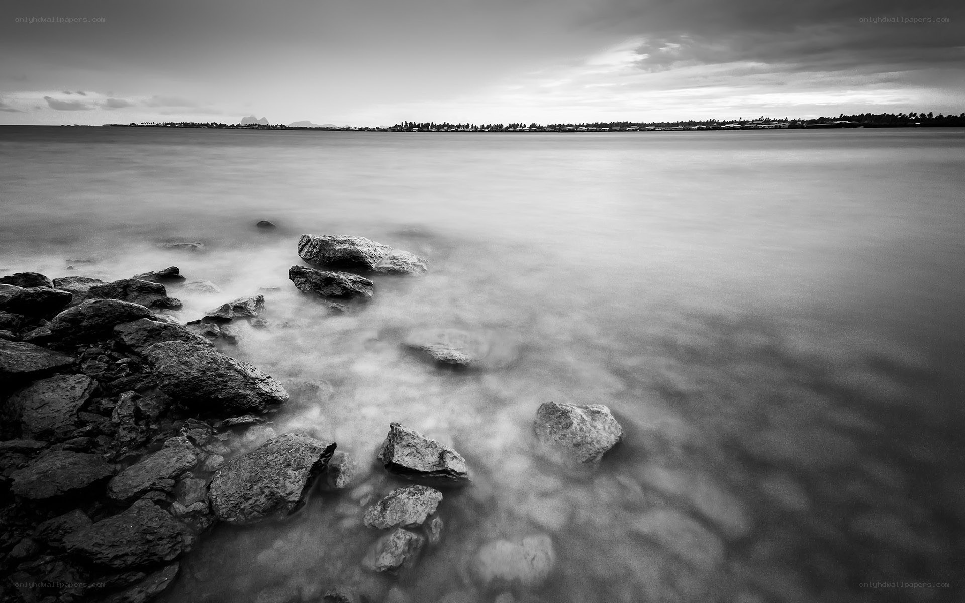 Rocky shore at dawn
