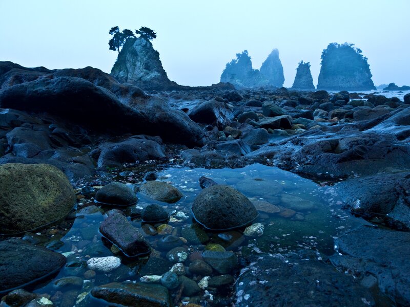 Rocky shore at dawn with sea stacks