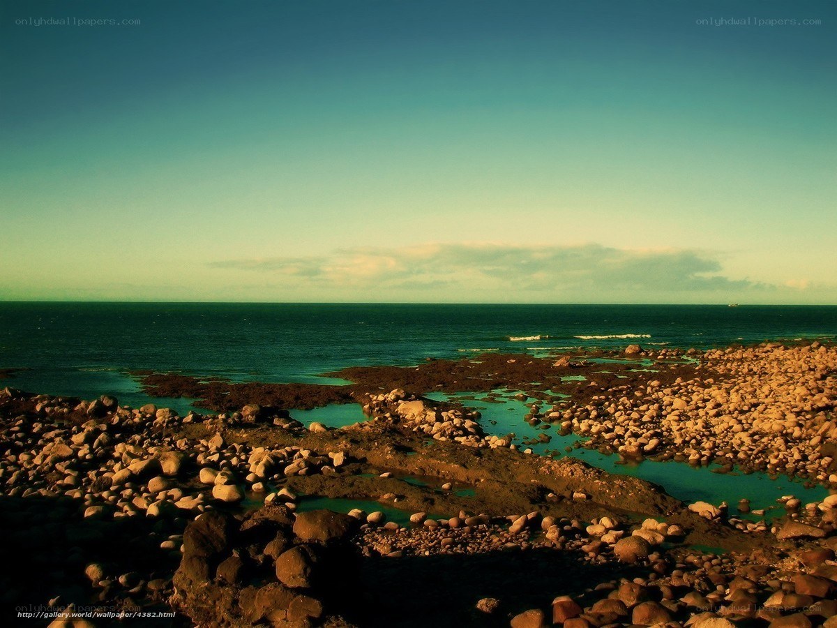 Rocky shore at sunset
