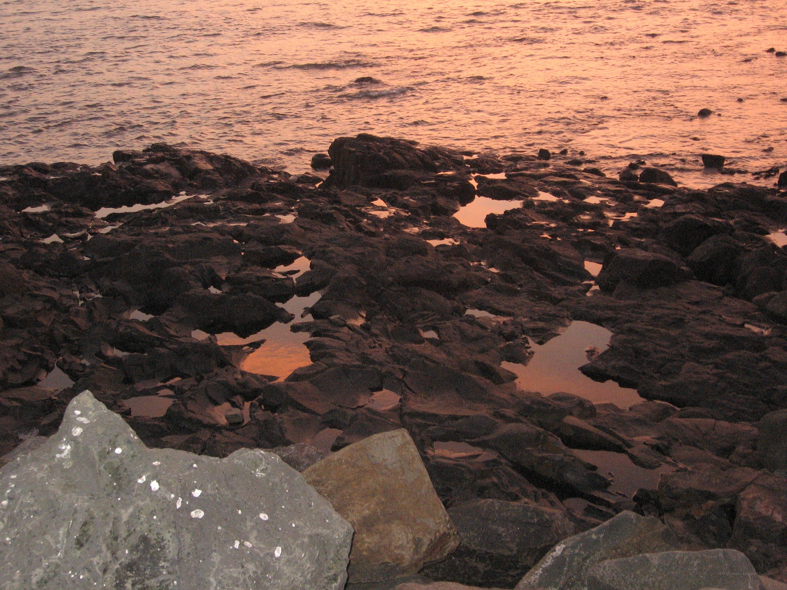 rocky shore at sunset