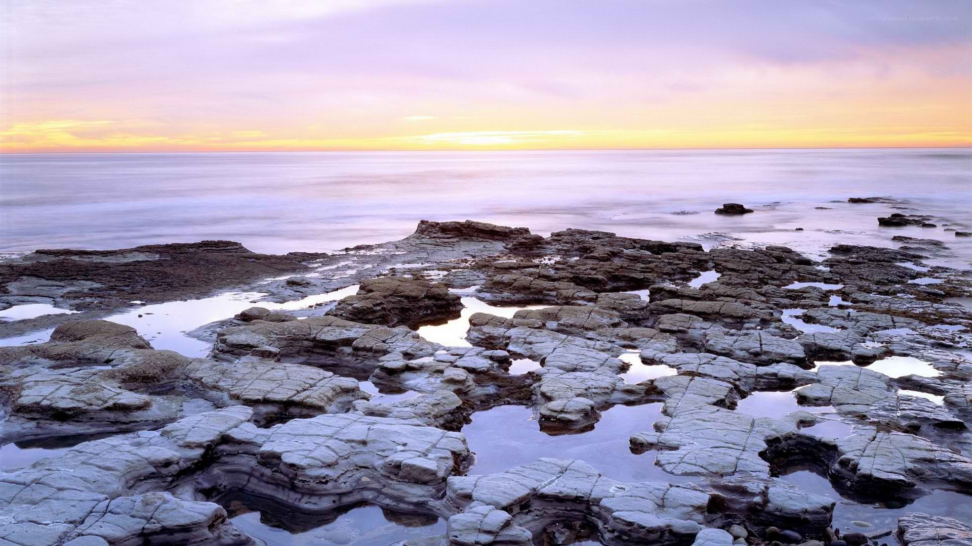 Rocky shore at sunset