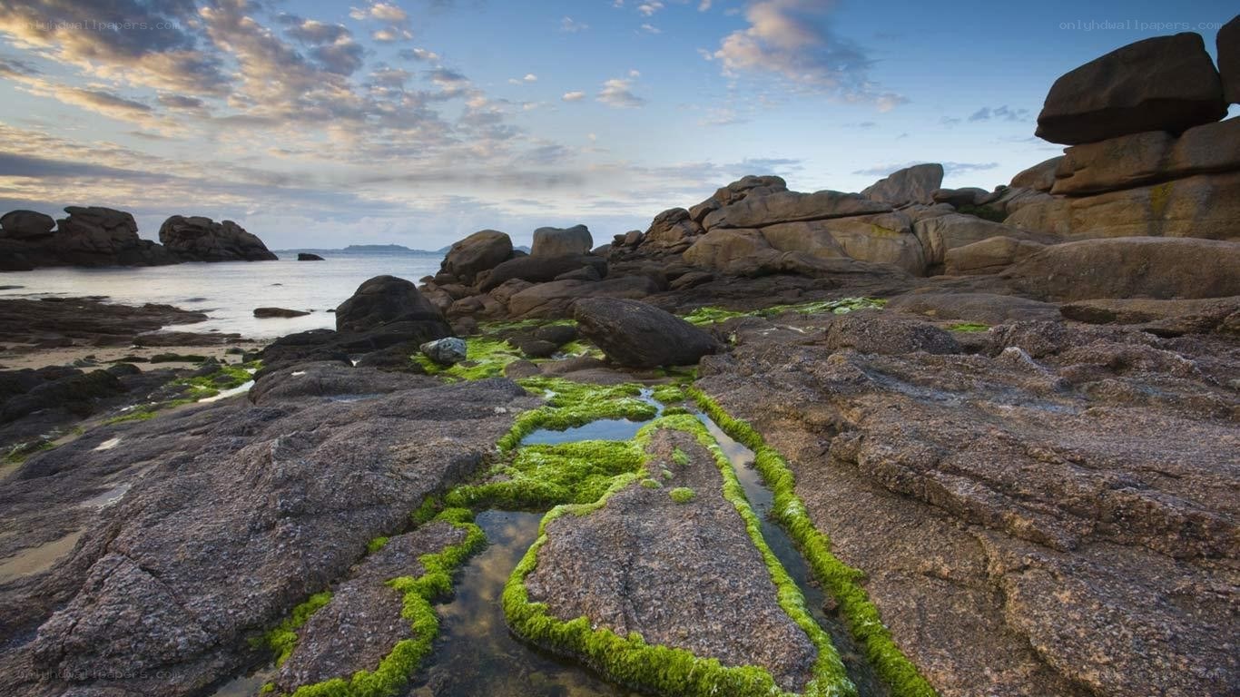 rocky shore at sunset