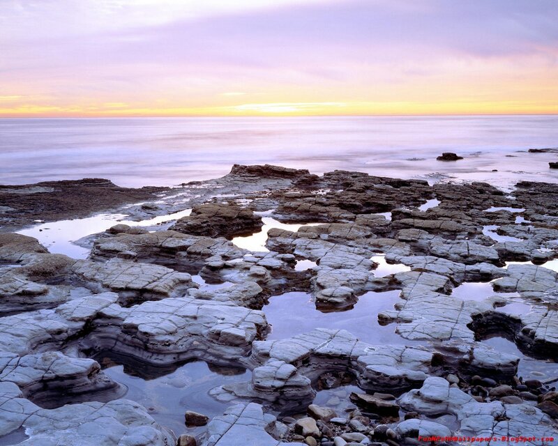 Rocky shore at sunset
