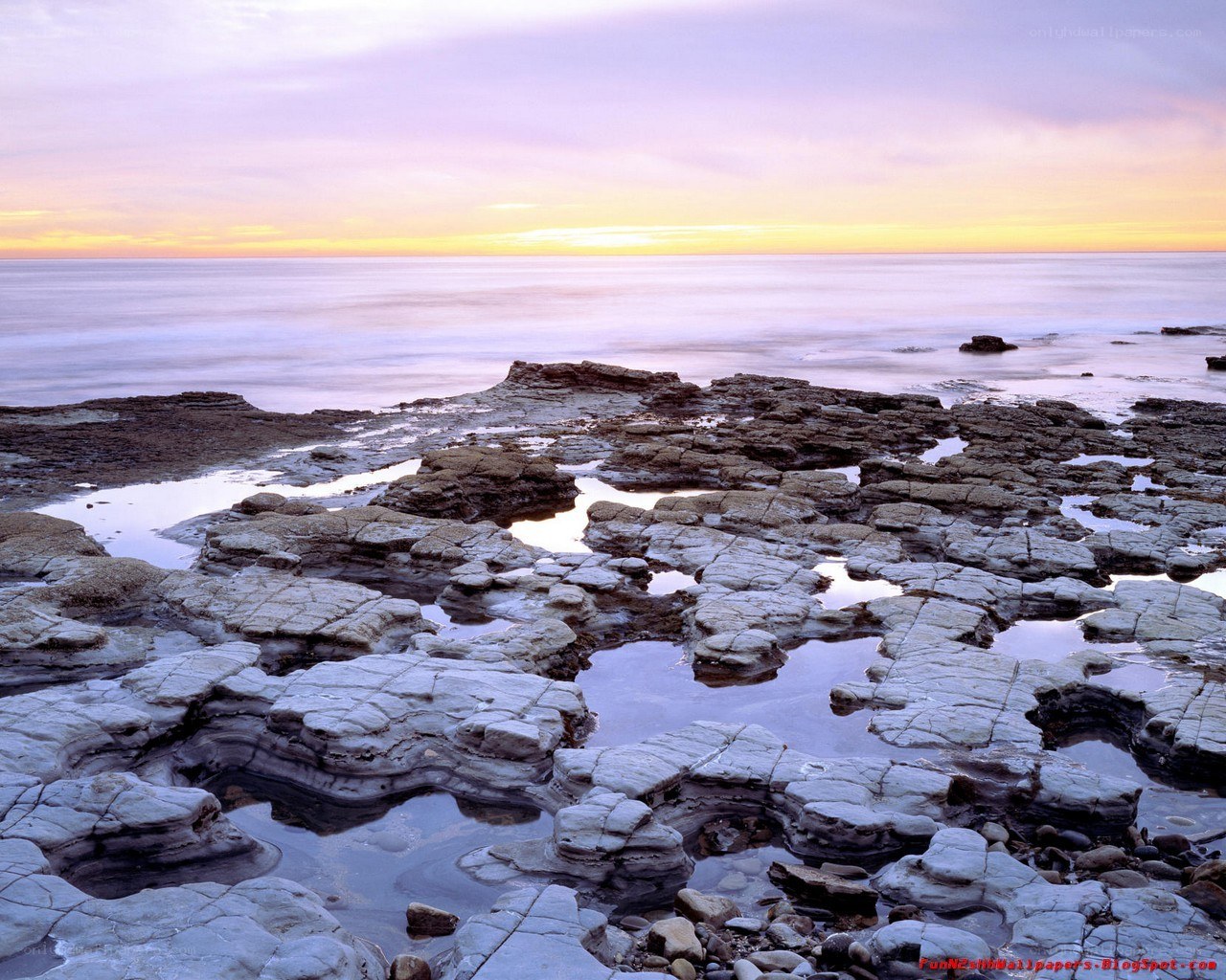 Rocky shore at sunset