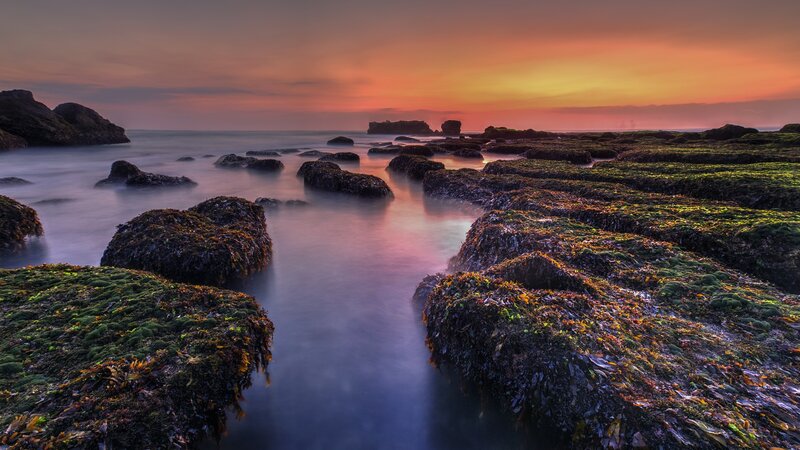 Rocky Shore at Sunset — Orange, Serene, Photograph, Rocks, Seaweed