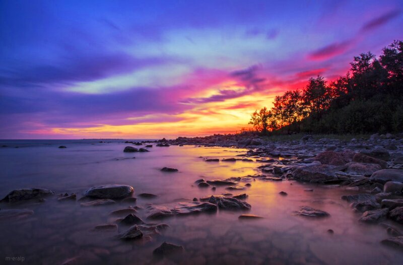 Rocky Shore at Sunset — Purple, Dramatic, Photograph, Trees