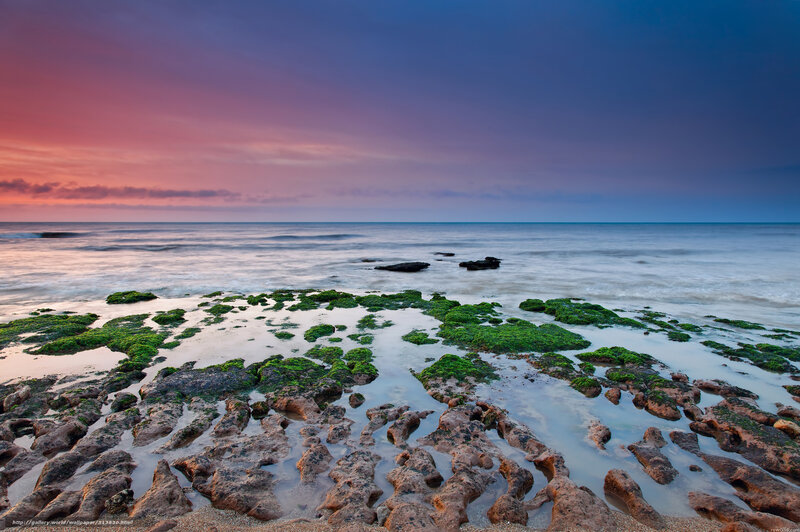 Rocky Shore at Sunset — Purple, Serene, Photograph, Ocean, Sky
