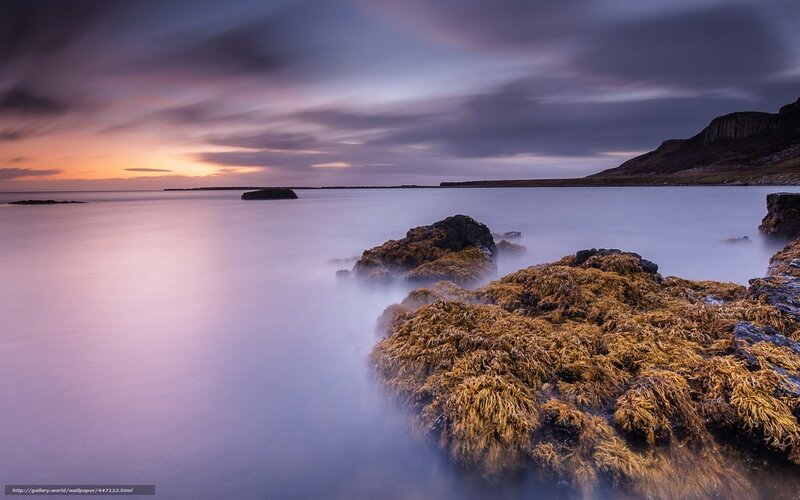 Rocky Shore at Sunset — Purple, Serene, Photograph, Rocks