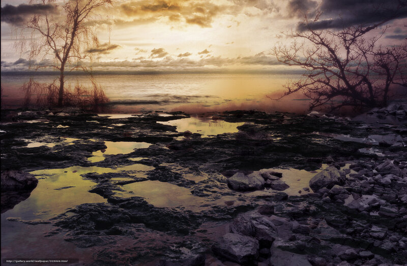 Rocky Shore at Sunset — Yellow, Dramatic, Photograph