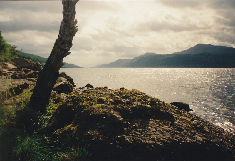 Rocky Shore by Lake — Green