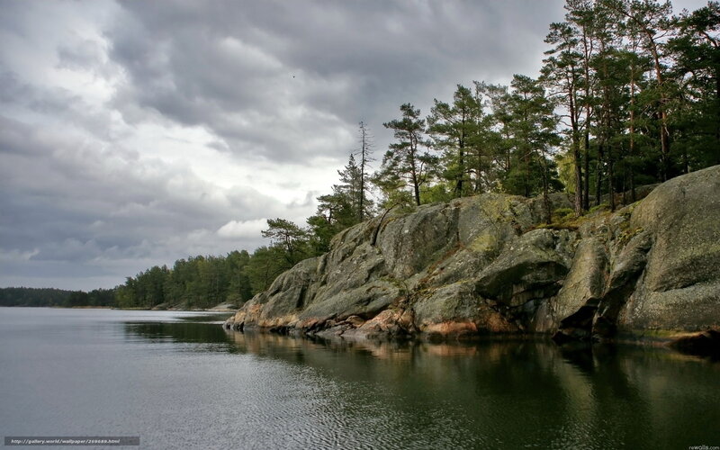 Rocky shore with forest and lake