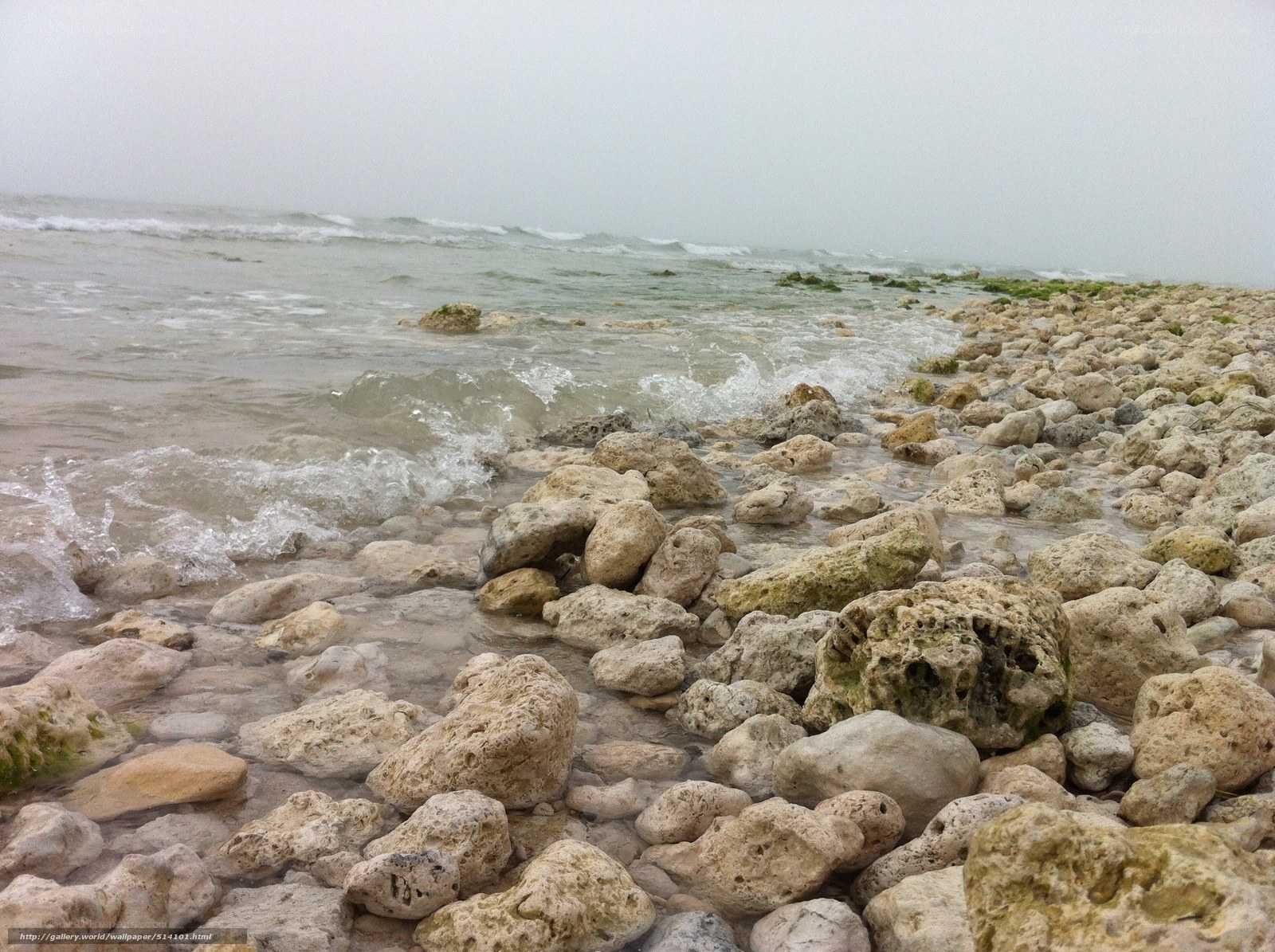 Rocky shore with gentle waves