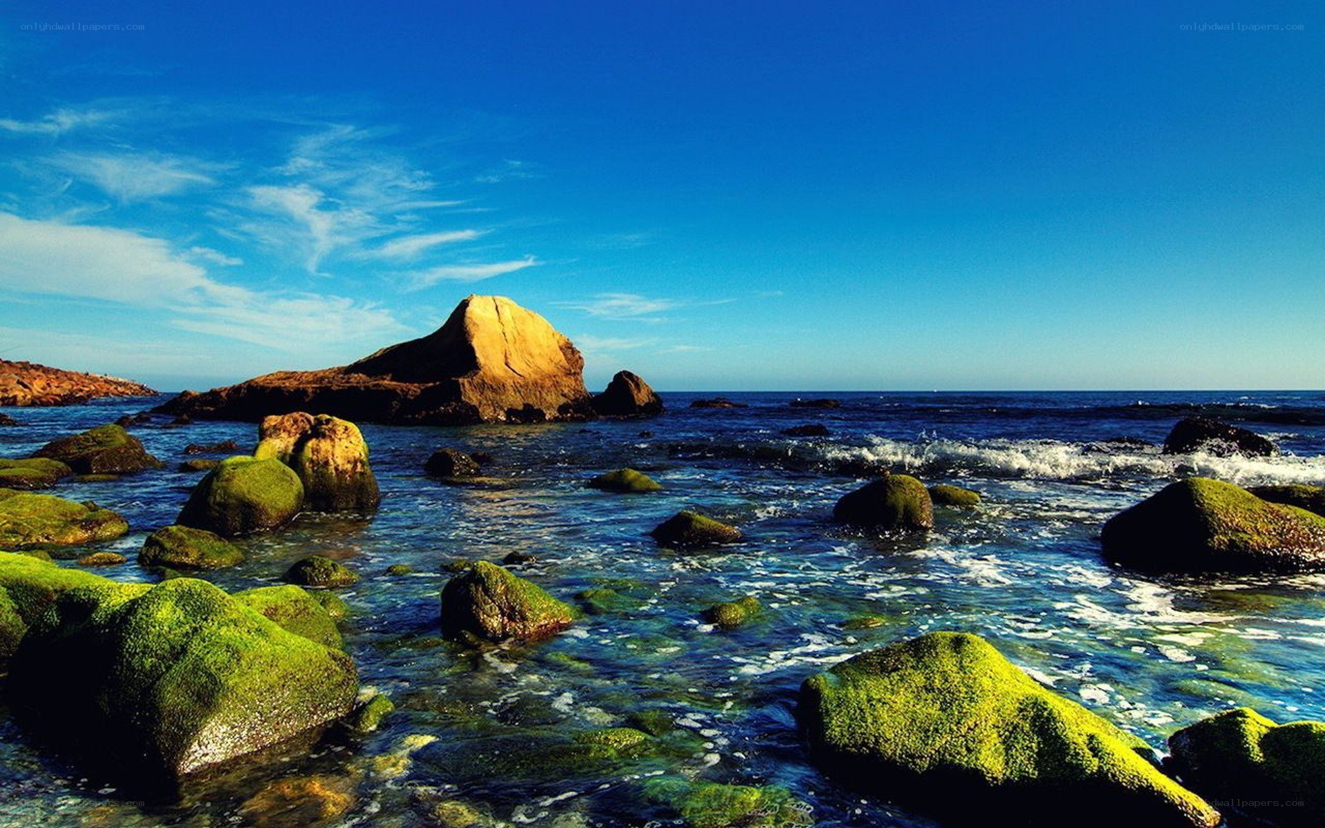 Rocky shore with green algae