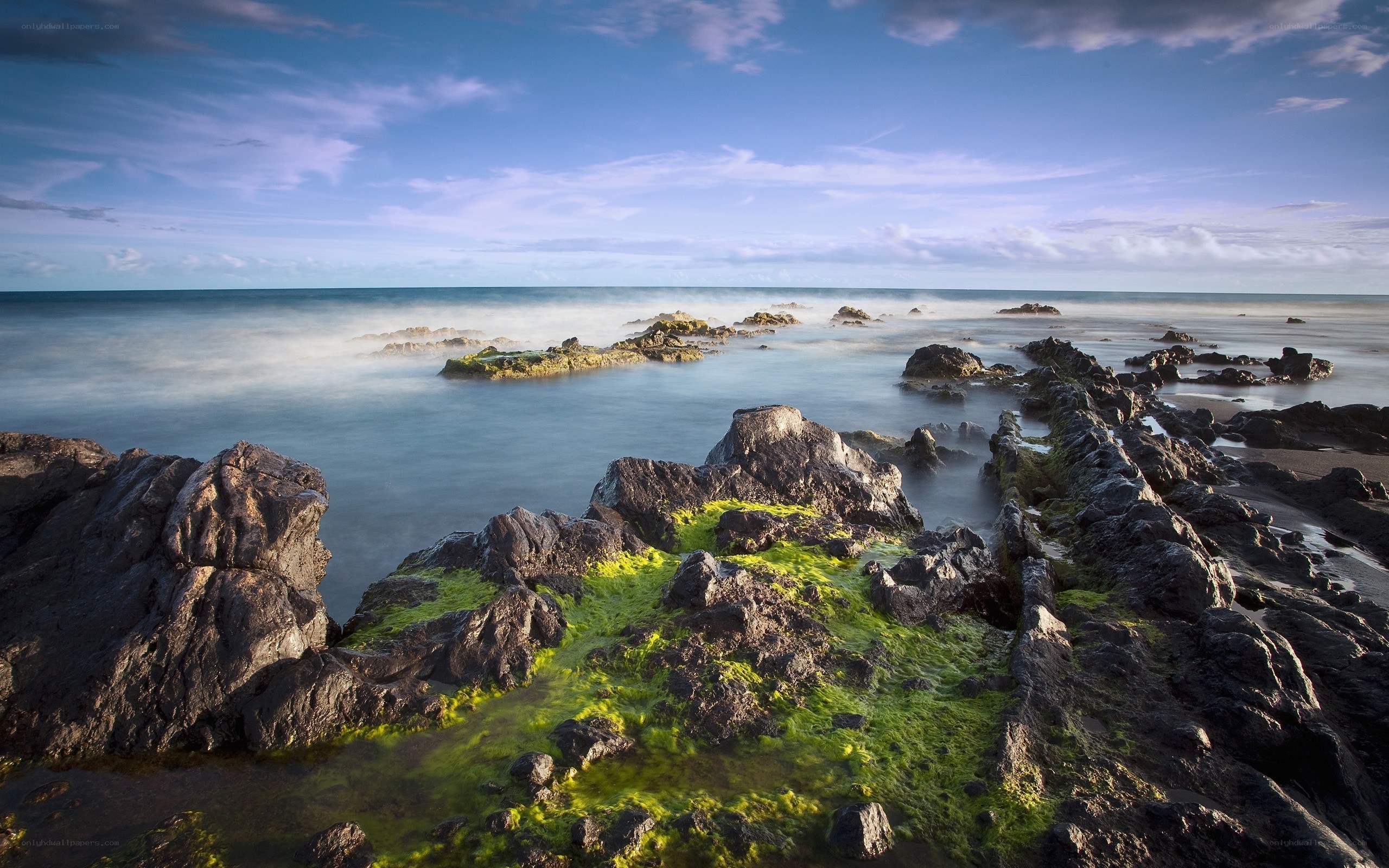 Rocky shore with green algae