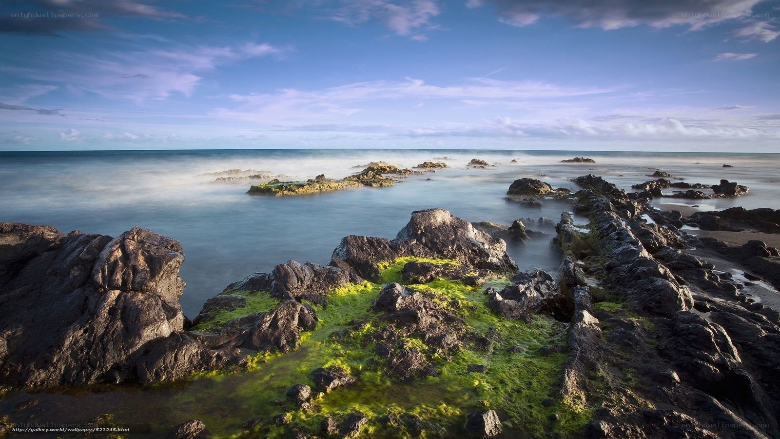 Rocky shore with green algae