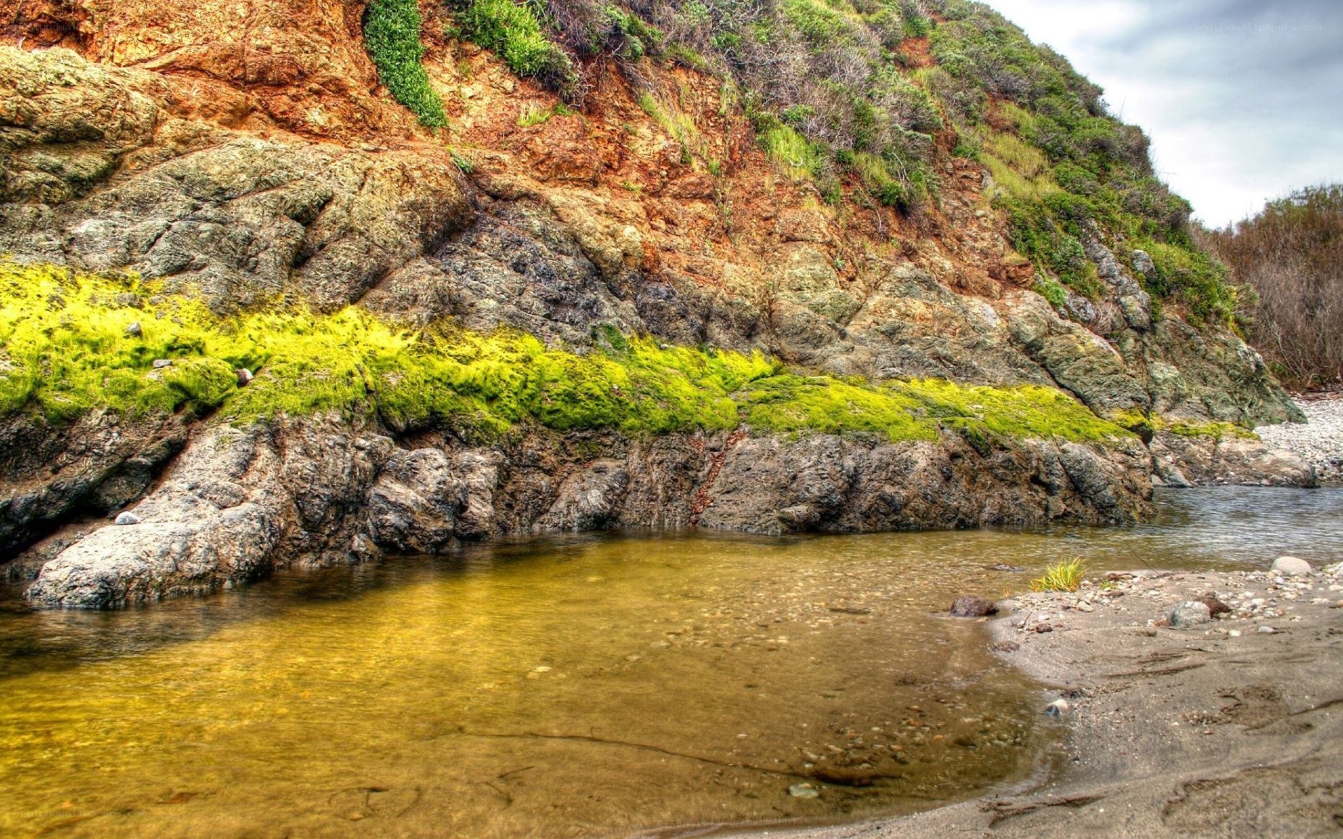 rocky shore with green moss