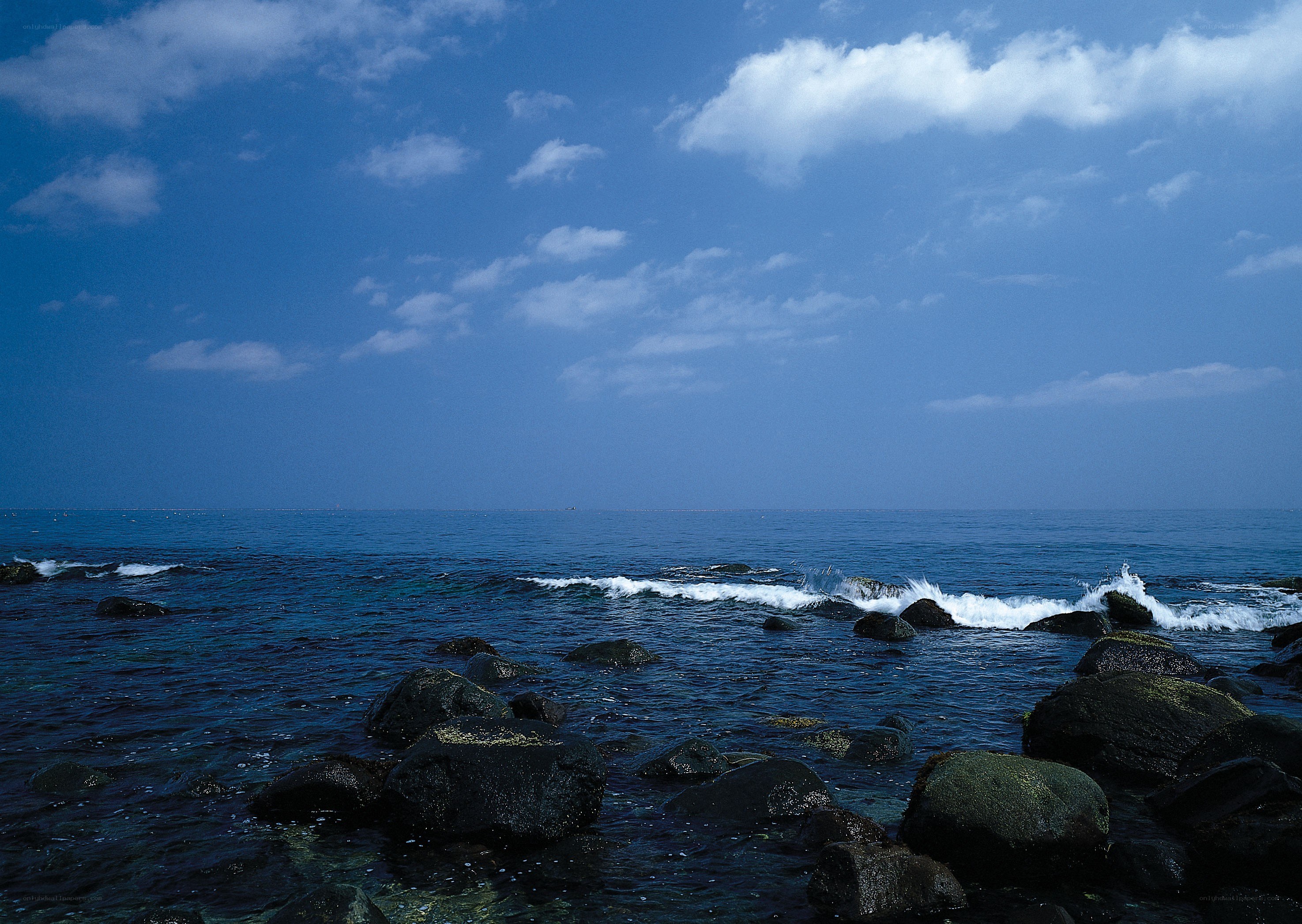 Rocky shore with ocean waves