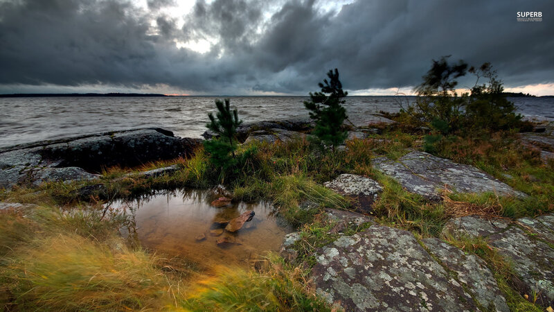 Rocky Shore with Pond