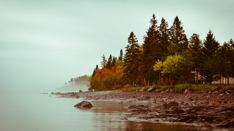 Rocky Shore with Trees