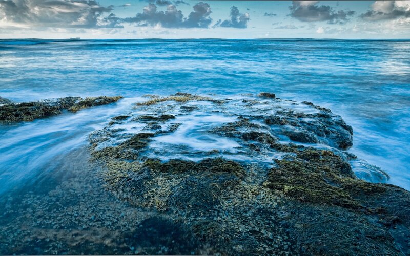 Rocky Shore with Waves