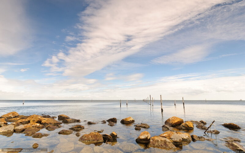 Rocky shore with wooden poles